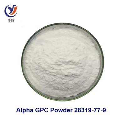 Polvo Alfa GPC CAS 28319-77-9